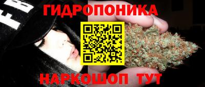 скорость Гай