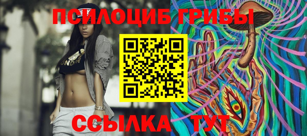 Псилоцибиновые грибы ЛСД  Вход с VPN  Галлюциногенные грибы мицелий  купить наркотики цена  Новый Уренгой 